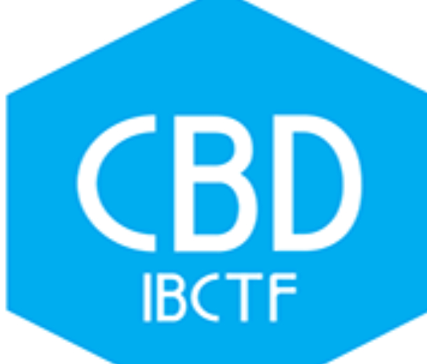 2023年第25屆中國(guó)（上海）國(guó)際建筑貿(mào)易博覽會(huì)（中國(guó)建博會(huì)上海）