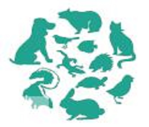 2023第4屆華東國際寵物用品展覽會(huì)暨中國寵業(yè)電商交易會(huì)